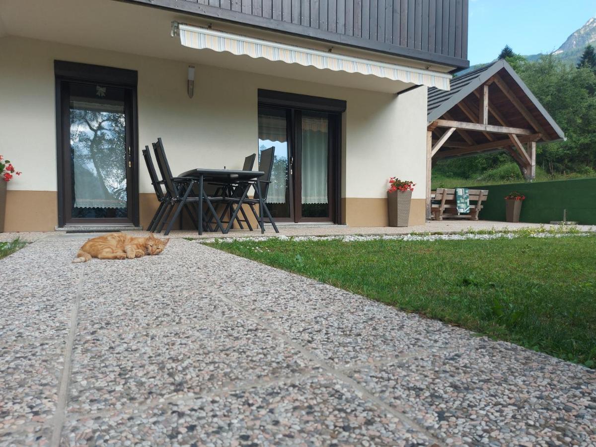 Apartmaji Katrc Soca Ngoại thất bức ảnh